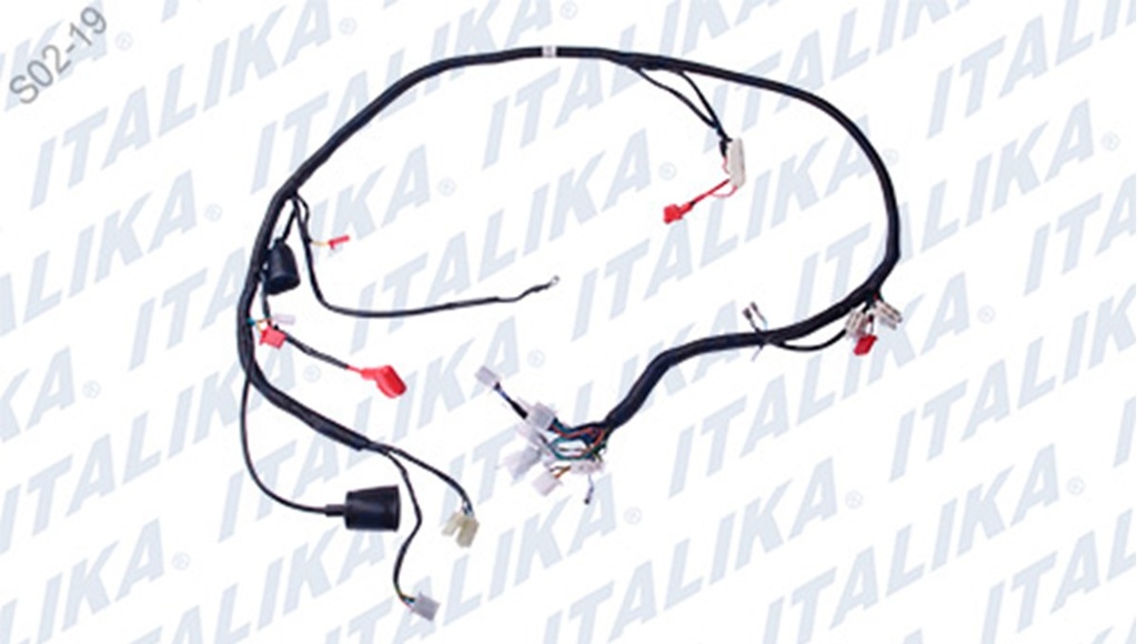 ARNES PRINCIPAL VITALIA125G