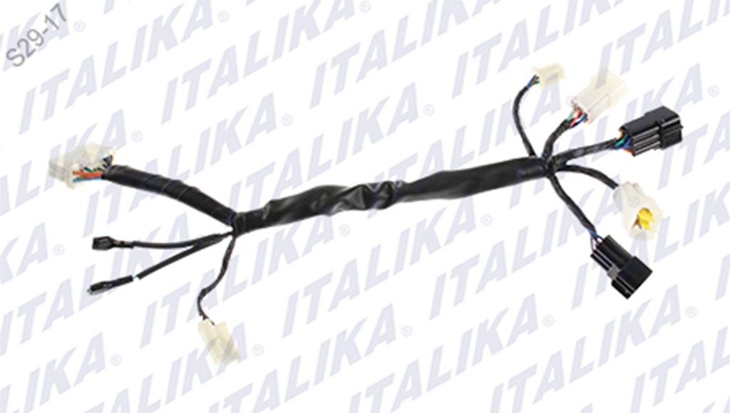 ARNES SUPLEMENTARIO VORT-X 200