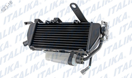 ENSAMBLE RADIADOR DER VX250