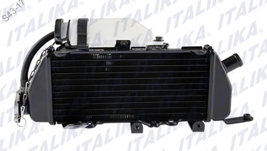 ENSAMBLE RADIADOR DER VX250 EFI