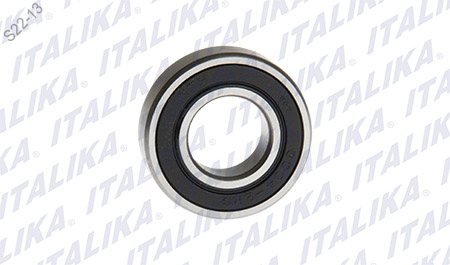 BALERO BOLA RADIAL,6004-2RS TS170