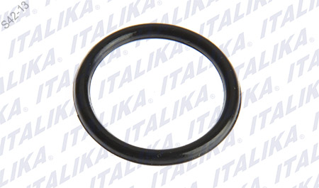 O-RING 20X2.5 ZDM200