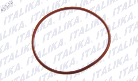O-RING2.2×55 BS250