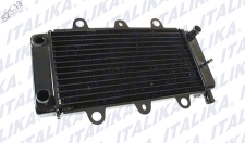 RADIADOR BS250