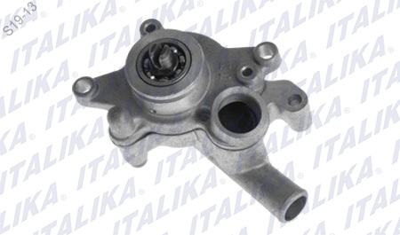 BOMBA DE AGUA BS250
