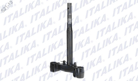 TELESCOPIO DE DIRECCION BS250