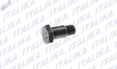 TORNILLO BS250