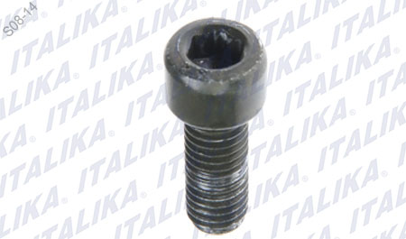TORNILLO HEXAGONAL M8X18 VITALIA125