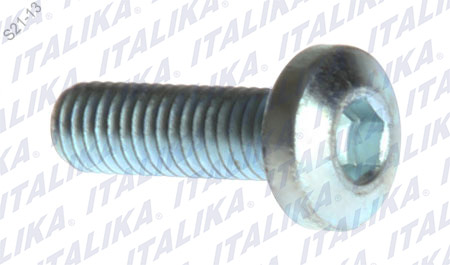 TORNILLOS DE DISCO BS250