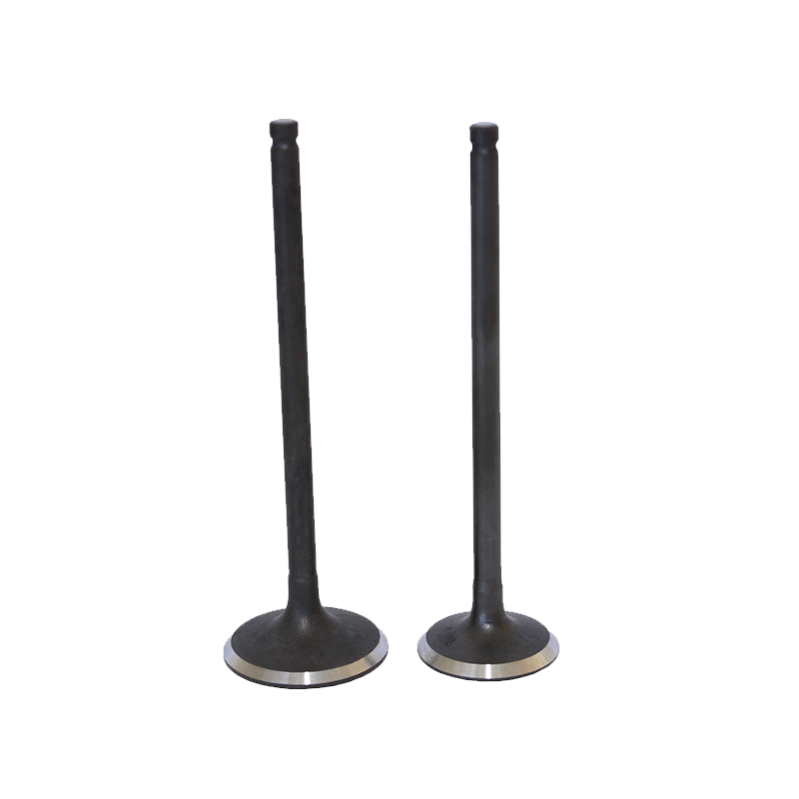 VALVULAS (JGO) P/ITALIKA FORZA-150 "KAIZ