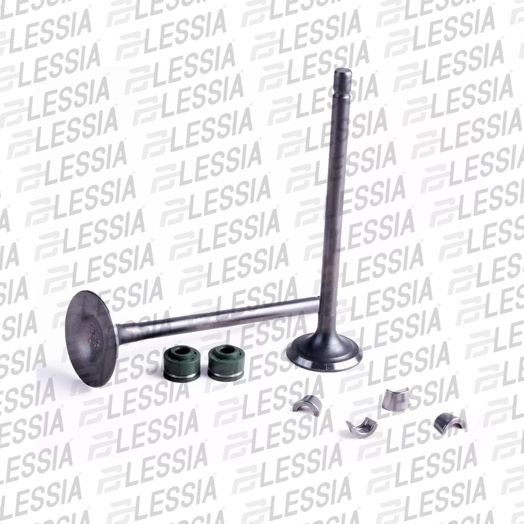 VALVULAS CALIDAD GOLD (IRON BOX) (ADMISION Y
ESCAPE) XEVERUS-250 19-21/DM-250X 22-23/TITAN 22/DM-250 20
-23