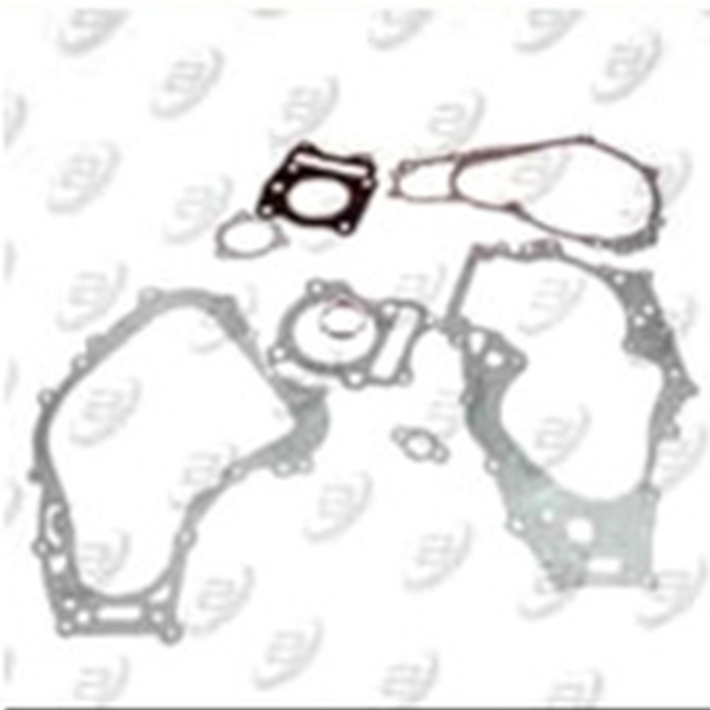 EMPAQUE DE MOTOR COMPLETO MOTOCARRO 200cc KING