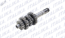 CONJUNTO PRIMARIO DE TRANSMISION TC250