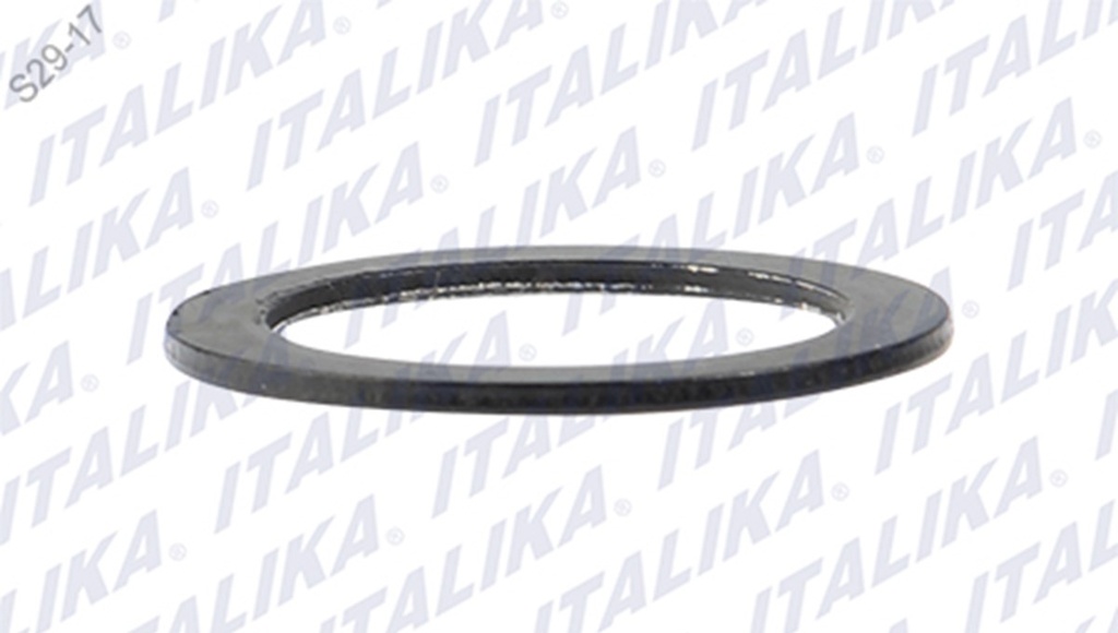 ARANDELA 17.2X24X1.2 VORT-X 200