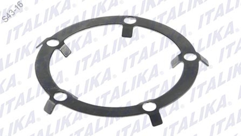 ARANDELA DISCO FRENO DEL XTS50