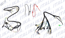 [F06050029] ARNES COMPL TS 170 ITALIKA