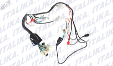 [F06050014] ARNES ELECTRICO DM200