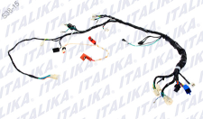 [F06050103] ARNES PRINCIPAL DM250