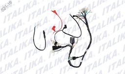 [F06050117] ARNES PRINCIPAL DT110 DELIVERY, FT115