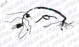 [F06050119] ARNES PRINCIPAL DT90