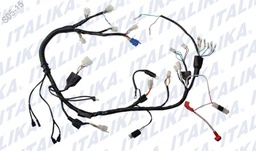 [F06050080] ARNES PRINCIPAL FT150GTI