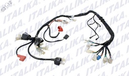 [F06050038] ARNES PRINCIPAL RC150
