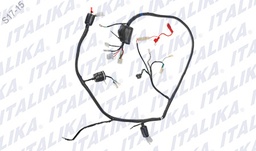 [F06050088] ARNES PRINCIPAL TRN150 2017