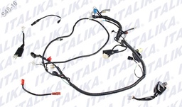 [F06050130] ARNES PRINCIPAL VORT-X 300