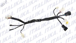 [F06050144] ARNES SUPLEMENTARIO VORT-X 200