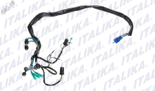 [F06050110] ARNES VELOCIMETRO FT150GTS