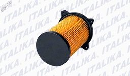 [F08010159] ELEMENTO FILTRANTE DM150.