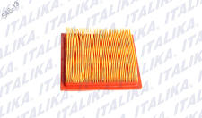 [F08010103] ELEMENTO FILTRANTE ZDM200
