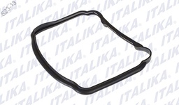 [E15020010] EMPAQUE PROTECTOR CUBIERTA TS170