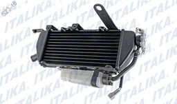 [E15010019] ENSAMBLE RADIADOR DER VX250