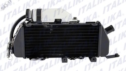 [E15010032] ENSAMBLE RADIADOR DER VX250 EFI