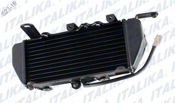 [E15010020] ENSAMBLE RADIADOR IZQ VX250