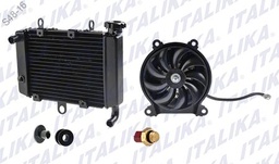 [E15010025] ENSAMBLE RADIADOR VORT-X 300