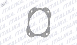 [E13040016] JUNTA CUBIERTA EXTERNA DT110 DELIVERY, FT115