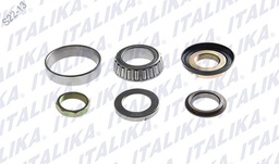 [F01040039] KIT DE BALEROS DE DIRECCION TS170