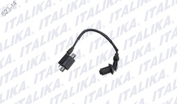 [F06060053] BOBINA DE IGNICION ATV250 CON REVERSA