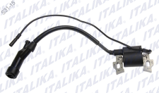 [F06060064] BOBINA IGNICION R3100P-3
