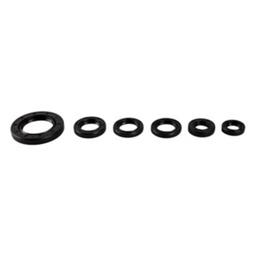 [07-5029-001] RETENES SET MOTOR IT ATV150 CON REVERSA