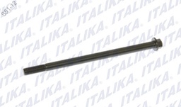 [F05020130] TORNILLO 10 X 170 PS90