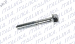 [E11050021] TORNILLO 6M x 35 FT110, PS90