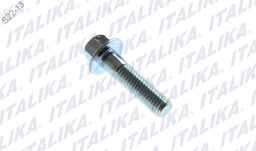 [E10060016] TORNILLO GENERADOR