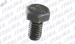 [E06040056] TORNILLO HEXAGONAL M6X10 RT180, FT180, FT200, TC200