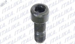 [F10040103] TORNILLO HEXAGONAL M8X18 VITALIA125