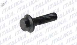 [E08030052] TORNILLO M10X36 ZDM200