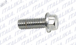 [F11020054] TORNILLO M6*16 VS90, WS150, PS90, GTS175, DS150