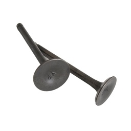 [21-5022] VALVULA ADMICION/ESCAPE ITALIKA DIABOLO 125 PHANTOM CITY 125 TODAS 125